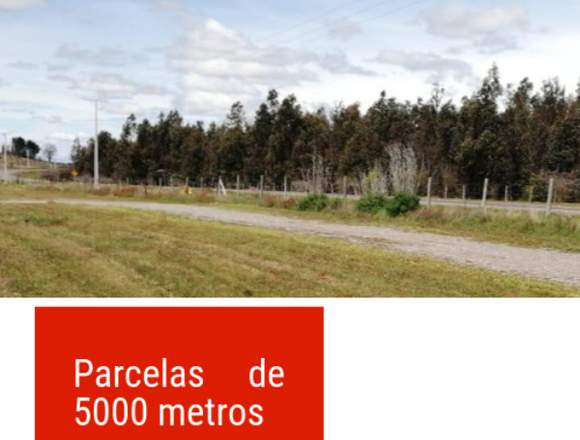 Venta de Parcelas de 5000 metros cuadrados