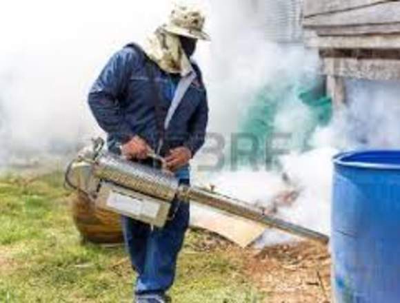 FUMIGACIONES ECONOMICAS DESDE 30000