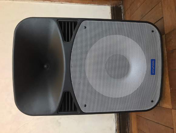 Parlante Portátil Recargable 15'' 100w Hyundai