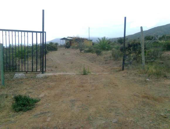  PARCELA 10.000 M2  Y CABAÑA   ALCAPARRAS COQUIMBO