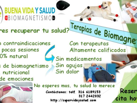 Terapias de biomagnetismo