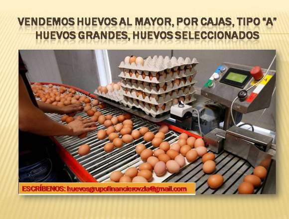 VENTA DE HUEVOS AL MAYOR