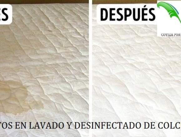 lavado desinfectado de salas colchones alfombras 