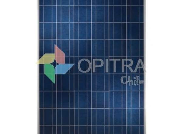 Panel Solar Fotovoltaico 250w Poly 24v Certificado