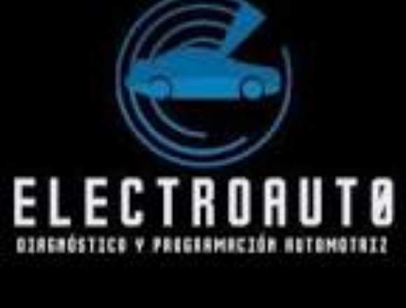 Electroauto a domicilio.