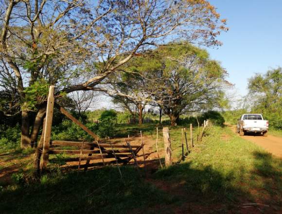 Vendo 27 hectáreas de campo a 6 Km de la Ruta 8