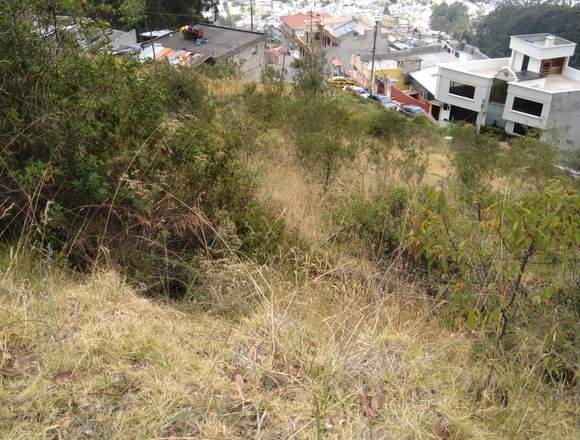 Vendo Terreno De 5000m2 Cochapamba El Bosque