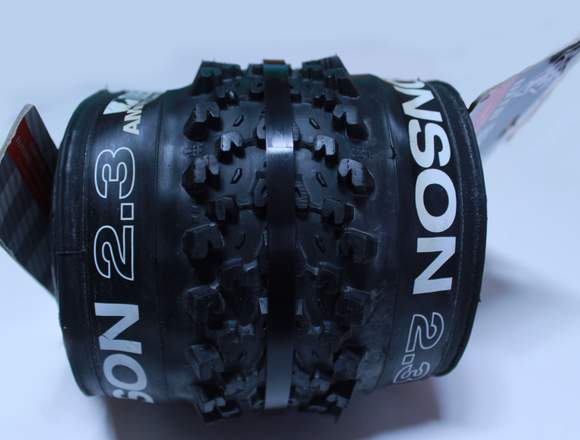 Neumatico WTB Bronson 26x2.30 Tubeless Ready