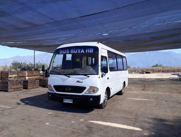 Bus mercedes y bus yueyin pluma