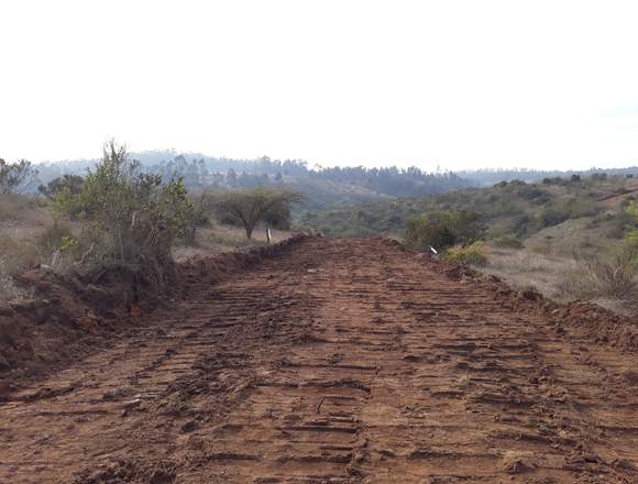 terreno de 1000m2 sector la rudilla el tabo