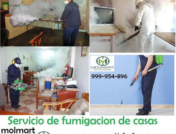 Fumigación de casas, departamentos y empresas