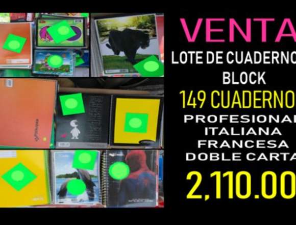 VENTA LOTE DE CUADERNO