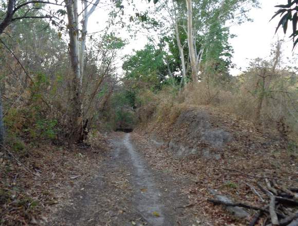 TERRENO SOBRE AUTOPISTA A COMALAPA