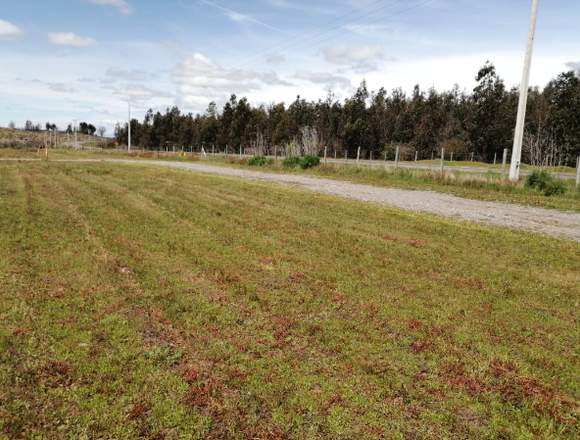 Se venden parcelas camino a Portezuelo km12