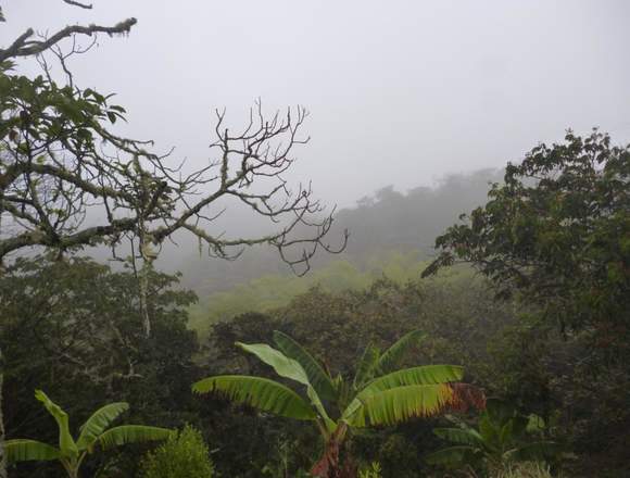 Venta Finca a 2 horas de Popayán