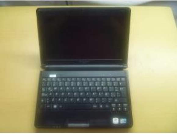 lapton lenovo mini ideapadc100s