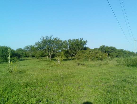 VENDO CAMPO 84ha. IDEAL PARA MONTAR TU FEEDLOT