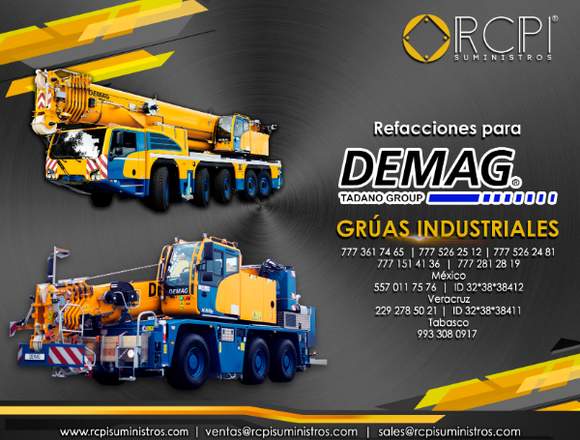 Repuestos para grúas Demag