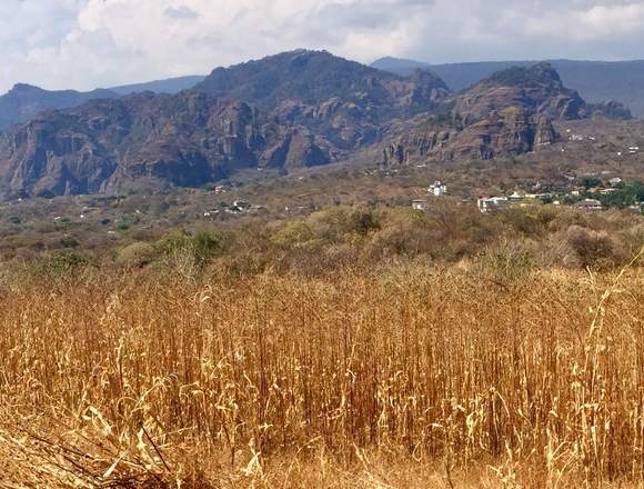 Tepoztlan lote 2000m2 todos los cervicios 