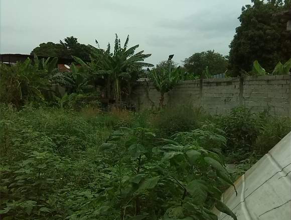 GALPON EN YAGUA ARRIBA DETRAS FARMACIA LAS MARIAS