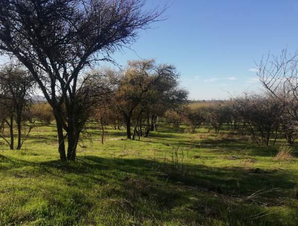 Hermosas Parcelas Valle de Torreón