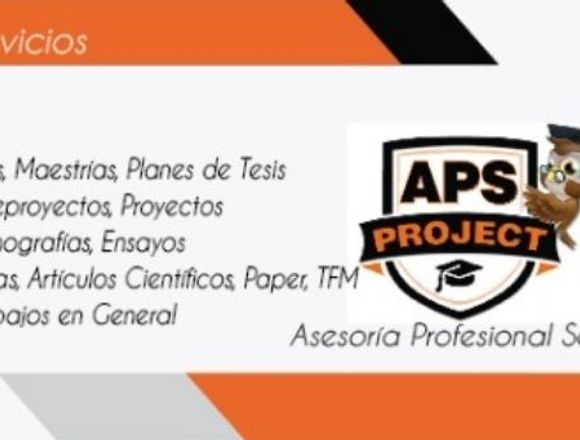 Project.APS Profesionales en Tesis 