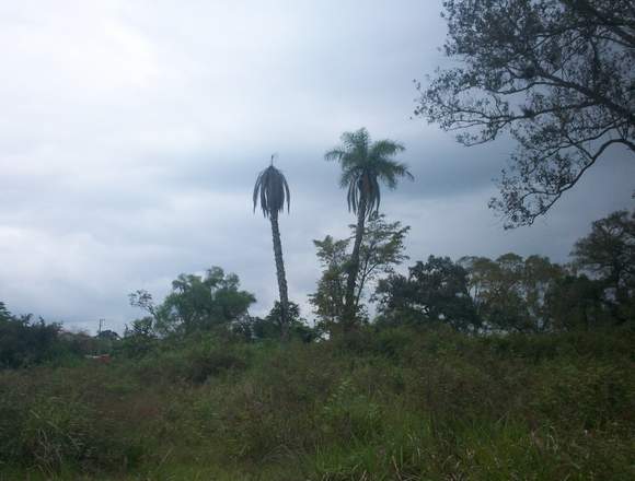 Venta de Terreno en Martinez de la Torre, Ver.