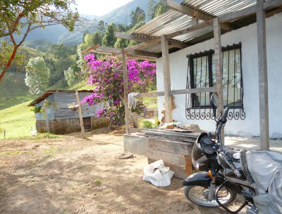 VENTA: FINCA "EL SILENCIO" - CORDOBA QUINDIO 