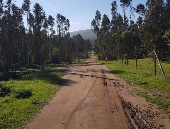 terrenos cercanos a playa pichicuy