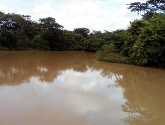 Finca agropecuaria en plena produccion