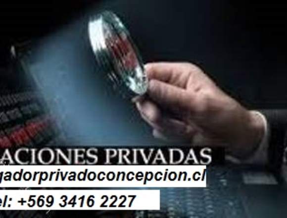 Investigador Premium, Detective privado