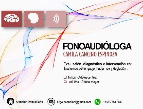 Fonoaudióloga a Domicilio