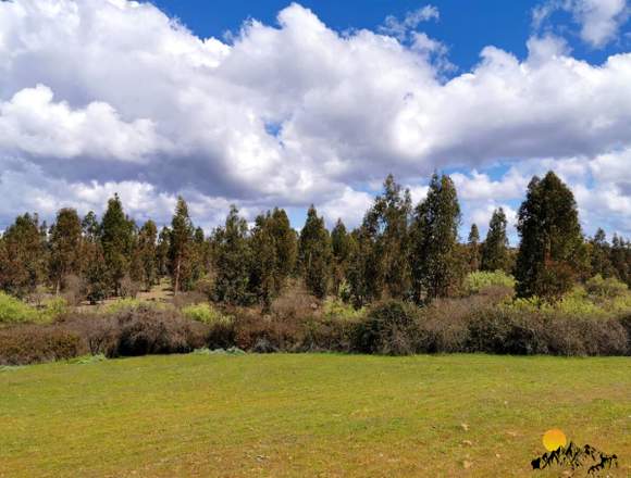 PARCELAS CERCANAS A PICHILEMU