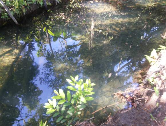 HERMOSA FINCA EN EL VICHADA VEREDA LA LIBERTAD-