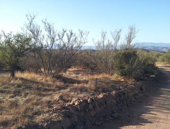 Vendo Terreno verde 