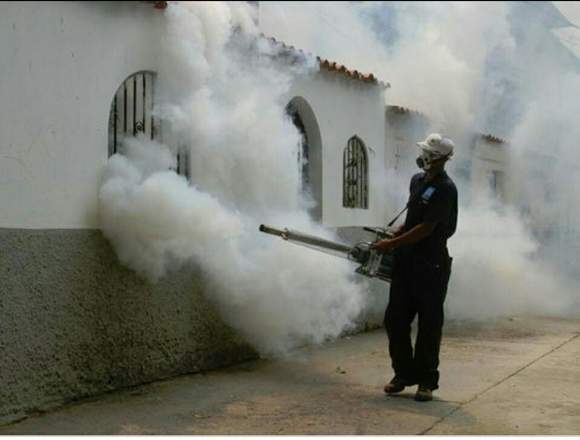 Fumigaciones en Lima