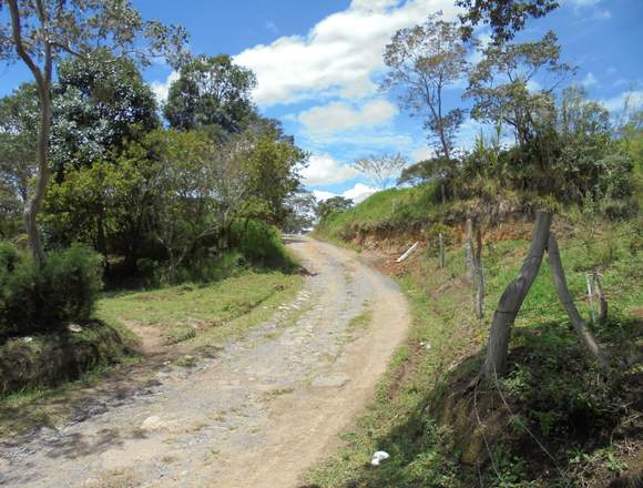 lote de terreno ubicado el la vereda buenavista