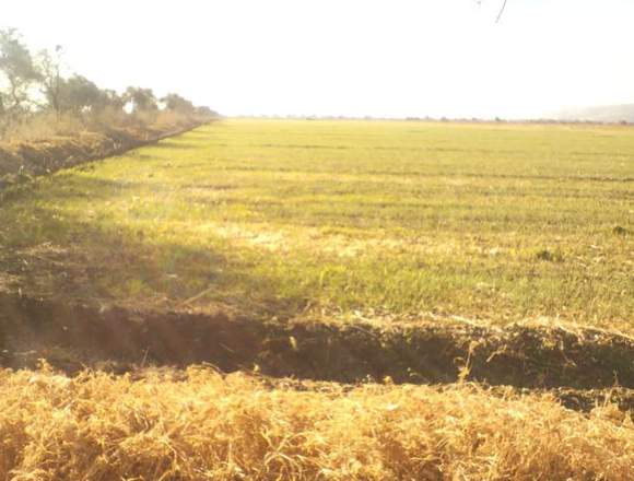 Rancho en venta Cuerámaro Gto.