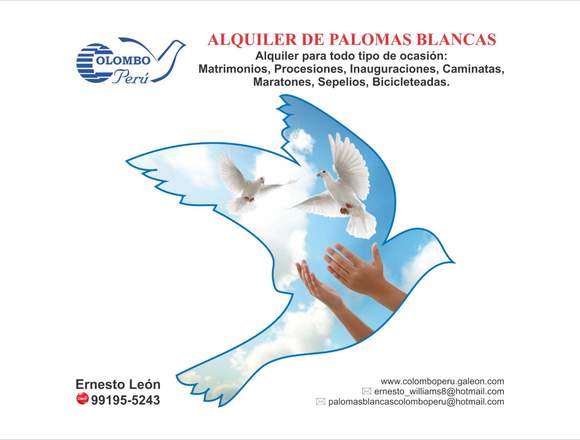 palomas Blancas colombo Peru