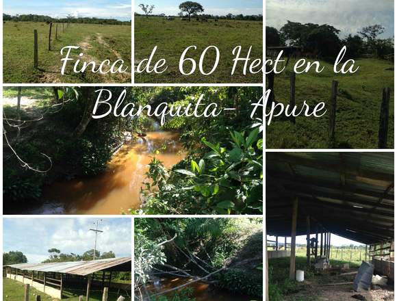 FINCA DE 60 HECTÁREAS LA BLANQUITA NULA