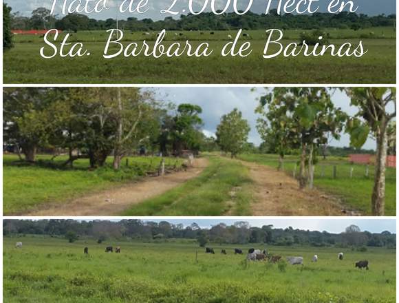 FINCA DE 2.000 HECTÁREAS CON 1500 RESES