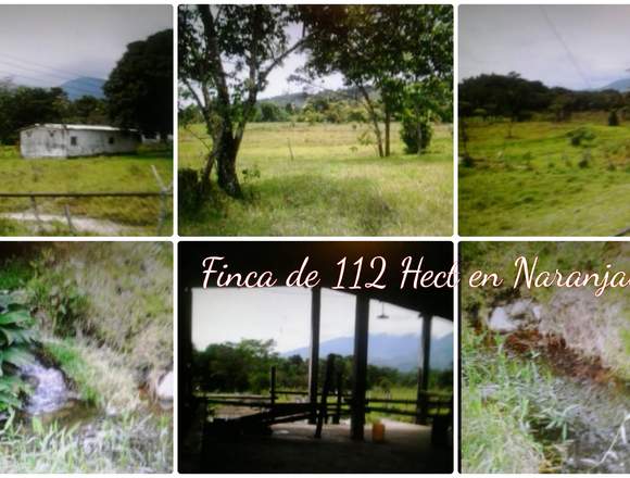 FINCA DE 108 HECTÁREAS POR EL PIÑAL