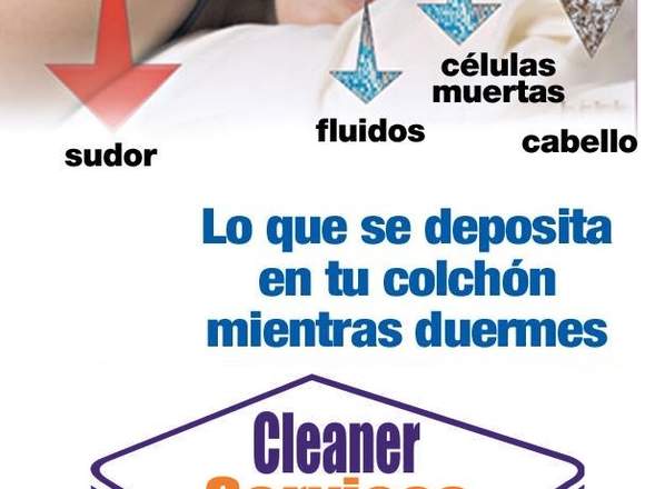 Lavado y Desinfeccion de Muebles,Colchones 