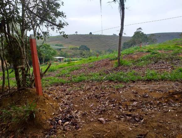 Vereda el tabacal mesa de los santos Parcela 