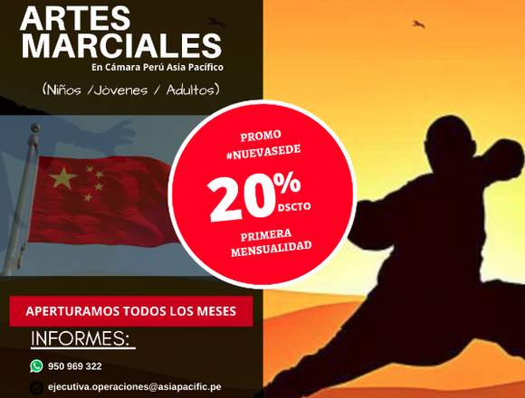 Clases de artes marciales