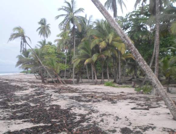 Terreno con Orilla de Playa en Palomino LaGuajira 