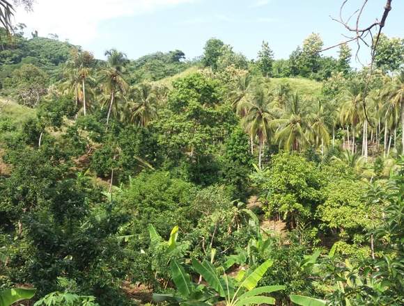 Se Vende Lote en Guachaca, Colombia 