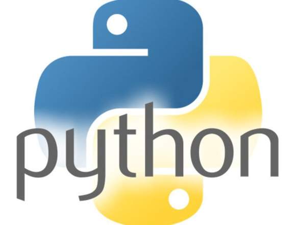 Aprenda a Programar en Python. Profesional