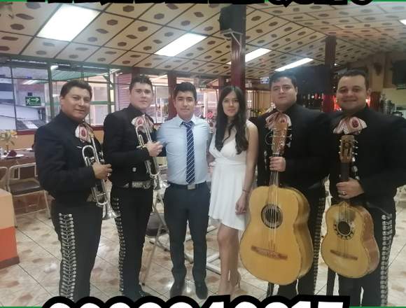 Mariachis en Quito Moderno 