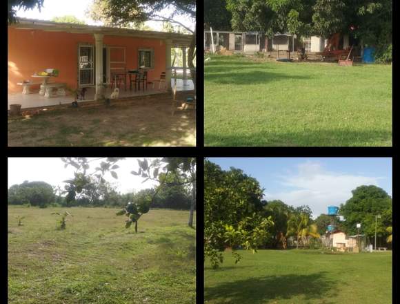 Finca en venta cerca de la cuidad de Maturín